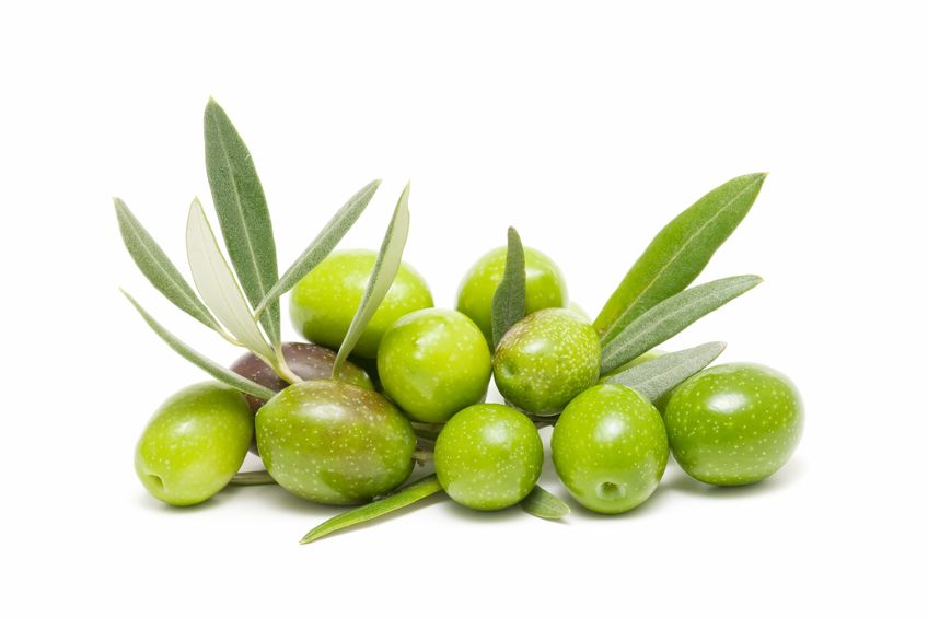 Olive Oil Retail Store | Occoquan, Virginia | So Olive