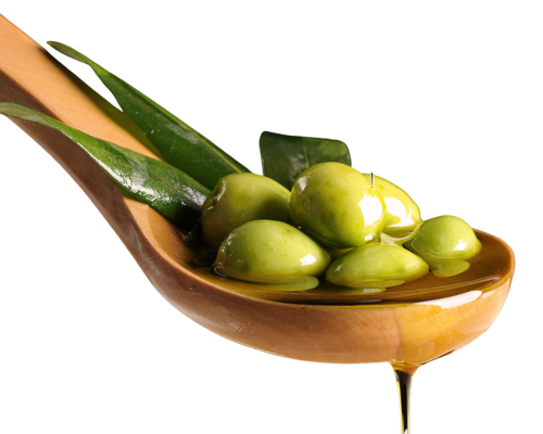 Olive Oil -3